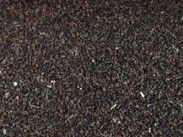 夜來香種子圖片 夜來香種子圖片